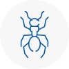 Ant Removals In Elland