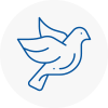 Bird Prevention Elland