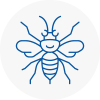 Elland Hornet Nest Removals