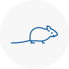 Mice Exterminators In Elland