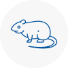 Rat Control Elland