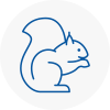 Elland Rodent Removals