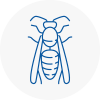Elland Wasp Nest Removal